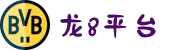 龙8-long8(国际)唯一官方网站